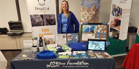 Meow Foundation Calgary Cat Rescue Cat And Kitten Adoption