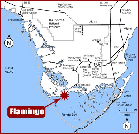Tune in to a miami vice rerun in your flamingo motel room and, boom, flamingos, right there in the opening credits. The Riley's Blog: Everglades National Park