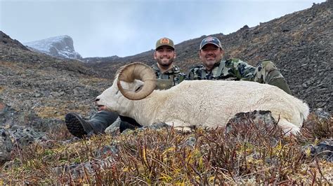 Alaska Dall Sheep Hunt 2020 Youtube