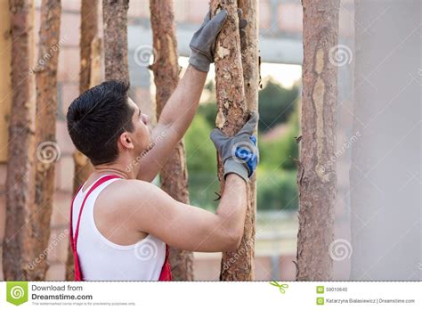 Handsome Construction Worker Stock Photo Image Of Manual