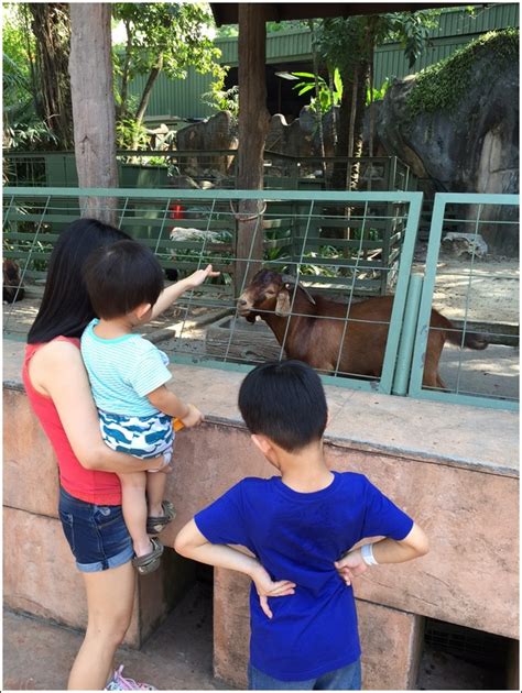 The main sections are water park, wildlife. Sunway Lagoon Wildlife Park and Petting Village ⋆ Home is ...
