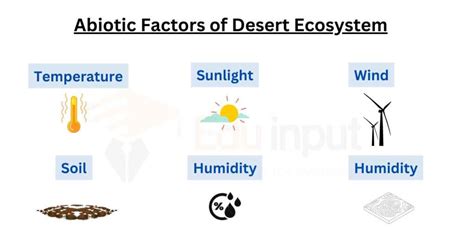 Biotic And Abiotic Factors Of Desert Ecosystem
