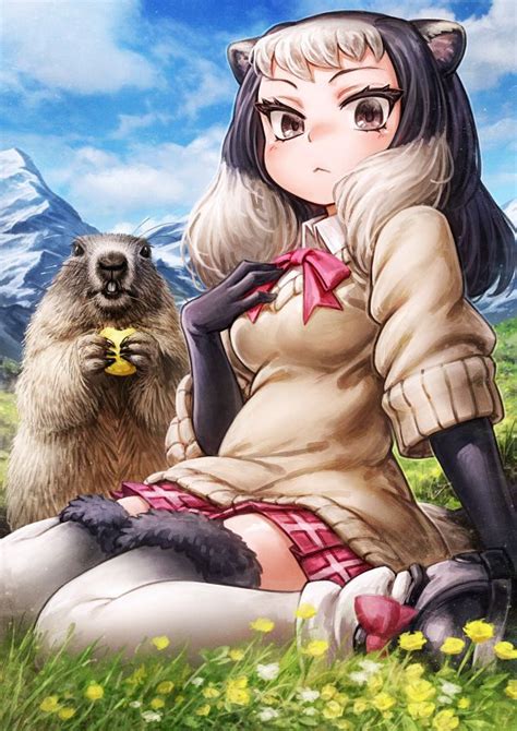 Alpine Marmot Kemono Friends Image By Lain Zerochan Anime
