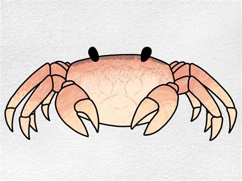 How To Draw A Crab Helloartsy