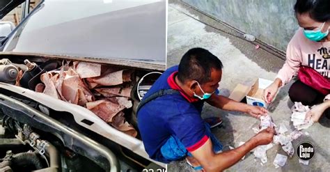 Sorok Duit Dalam Kereta Sebab Tak Nak Beritahu Isteri Sekali Habis Kena Makan Tikus