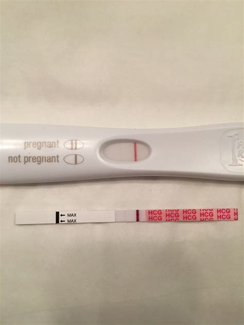 6dpo Creamy Cm Is This A Good Sign Trying To Conceive Forums