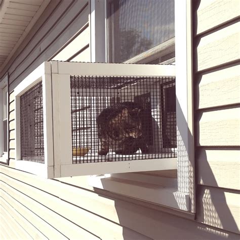 Diy Window Box For Cats 52 Cat Window Box Ideas In 2021 Cat Enclosure