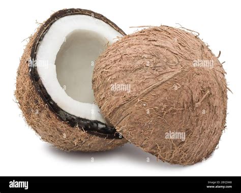 Coconut Stock Photo Alamy
