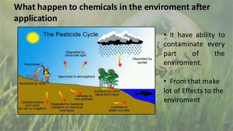 Environmental Effects Of Pesticide