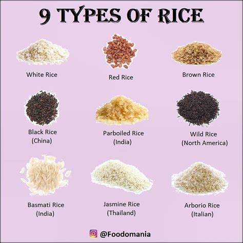 Types Of Rice