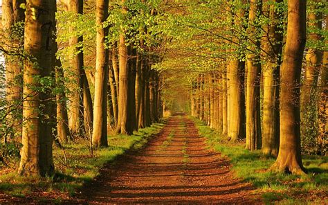 Download best hd desktop wallpapers, widescreen wallpapers for free in high quality resolutions 1920x1080 hd, 1920x1200 widescreen, 2560x1600. 40 Amazing Beautiful HD Landscape Wallpaper
