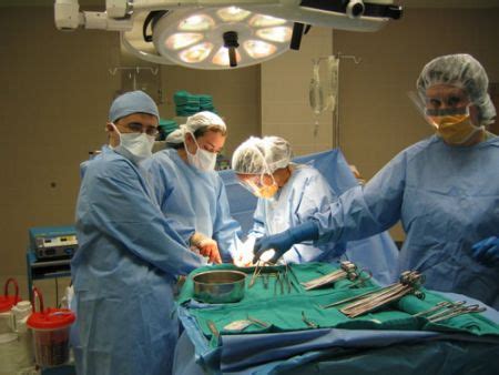 Cancro ai testicoli | MedicinaLive