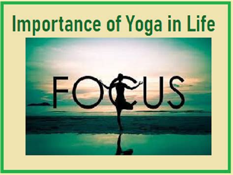 International Yoga Day 2020 Importance Of Yoga In Life