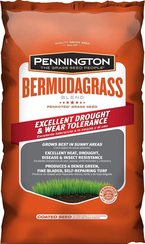 The 7 Best Bermuda Grass Seeds Reviews Tips And Buying Guide 2023