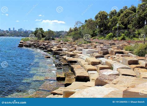 Barangaroo Reserve Sydney Australia Waterfront Stock Image Image Of