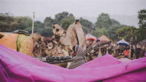 There is also the teej festival, one that holds great importance for women in rajasthan. The 11 Most Important Festivals in India