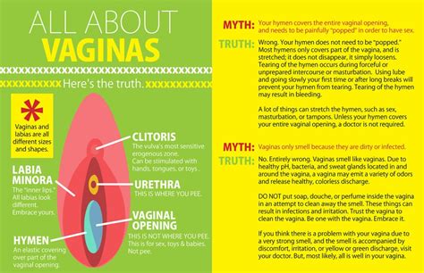 Vaginas Sex Ed Infographic Popsugar Love Sex Photo