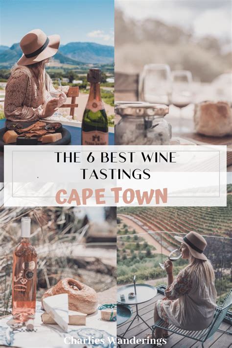 The 7 Best Wine Farms In Stellenbosch You Cant Miss Charlies