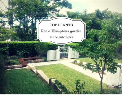 Best Plants For A Hamptons Garden In Brisbane — Seed Landscape Design