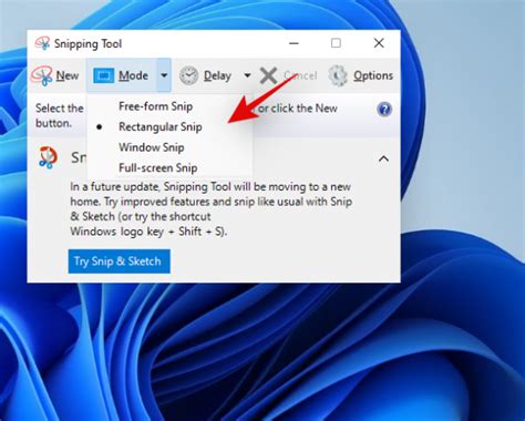 Our Complete Windows 11 Screenshots Guide How To Use Print Screen Vrogue