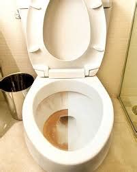 Please tell me there isn't an actual live fish in there!! Blog | How To Remove Toilet Bowl Stains | Envirocare Systems