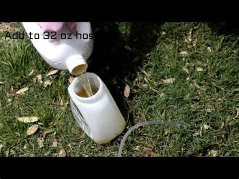 As mentioned earlier, epsom salt, ammonia, and beer are a boon to your lawn grass. How to Make Homemade Lawn Food - YouTube