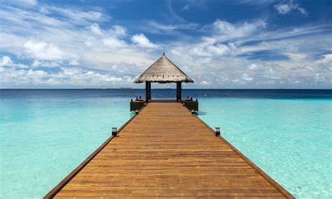 Tropicana entertainment stock forecast, price & news. From Australia to the Maldives for $249: Scoot and ...