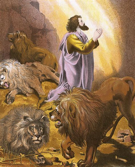 Daniel In The Lions Den Drawing By English School