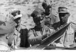 Photo Erwin Rommel Fritz Bayerlein And Other German And Italian