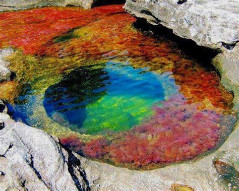Next year it will appear on colombia's new banknotes, and people from around the world are coming to colombia and leaving. Wallpapers Magic River Cano Cristales for Android - APK ...