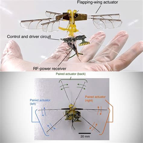 Toyota Develops Insect Robot With Wireless Charging Capabilities