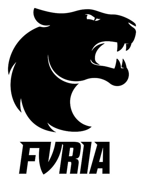Team Furia Furia Esports Csgo