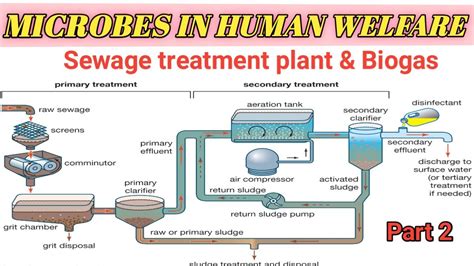 Sewage Treatment Plant Biogas Production Microbes In Human Welfare By U S Prasad Nbcc