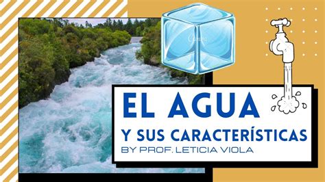 El Agua Y Sus Caracteristicas Youtube