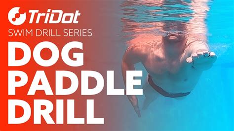 Dog Paddle Drill Tridot Swim Drill Series Youtube