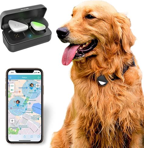 The Best Pet Trackers And GPS Dog Collars For 2025