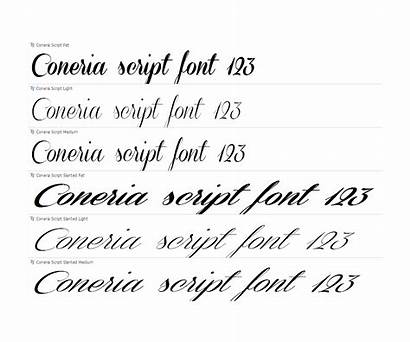 Fonts Script Writing Letter Calligraphy Font Cursive