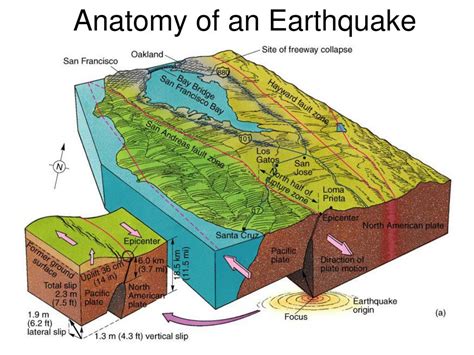 Ppt Earthquakes Powerpoint Presentation Free Download Id6264728