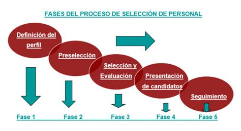 ¿conoces Las Fases De Un Proceso De Selección De Personal Gbs