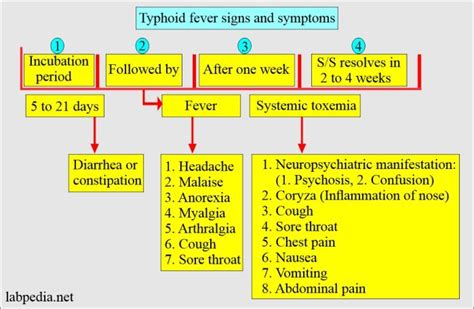 Typhoid Fever Enteric Fever Nurses Revision