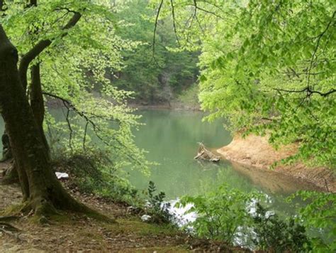 Belgrad ormanı hakkında sıkça sorulan sorular. Belgrad Ormanı Nerede Nasıl Gidilir - Mesire Yerleri ...