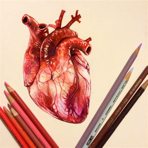Heart Real Drawing At Getdrawings Free Download
