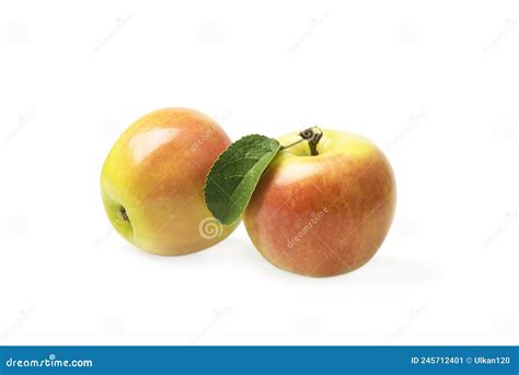 Two Ripe Apples On A White Background Stock Image Image Of Dessert Nutritious 245712401