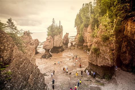 Discover The Bay Of Fundy Ferries