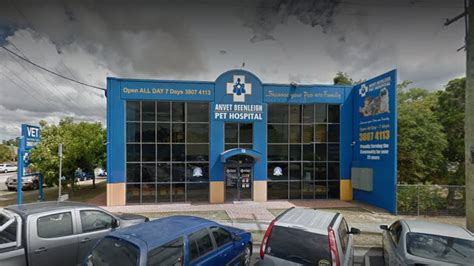 We understand that a pet medical emergency is stressful. James Street Veterinary Hospital, Beenleigh, 4207 - Vet ...