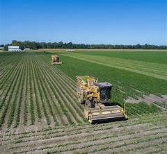 Cultivate Your Vision Farms For Lease In Joplin