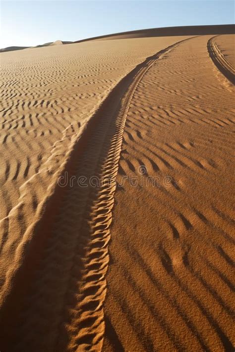 Tracks On The Sand Sahara Desert Libya Stock Photo Image Of Safari