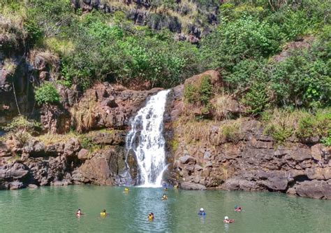 Popular Waterfall Hikes On Oahu Manoa Falls Waimea