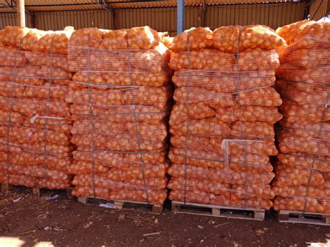 Onion exporters - Onion for export - Egyptian onion exporters - - Hitac ...
