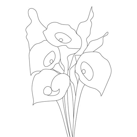 Calla Lily Coloring Pages